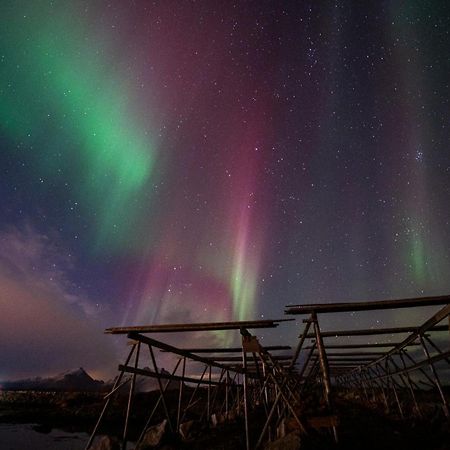 Fish Factory -The Real Lofoten Experience Баллстад Экстерьер фото